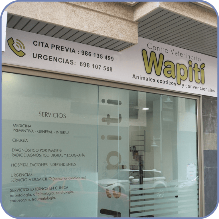 Clínica veterinaria en Cangas de animales exóticos y convencionales Wapití