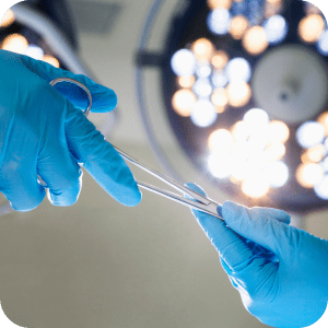 cirugía veterinaria en cangas, wapití